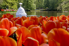 2 oder 3 Tage Keukenhof_1
