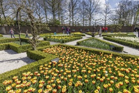 2 oder 3 Tage Keukenhof_2